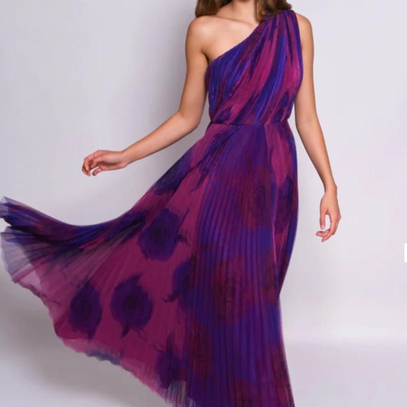 Hutch Dresses & Skirts - Hutch Tarina Print Pleated One-Shoulder Gown